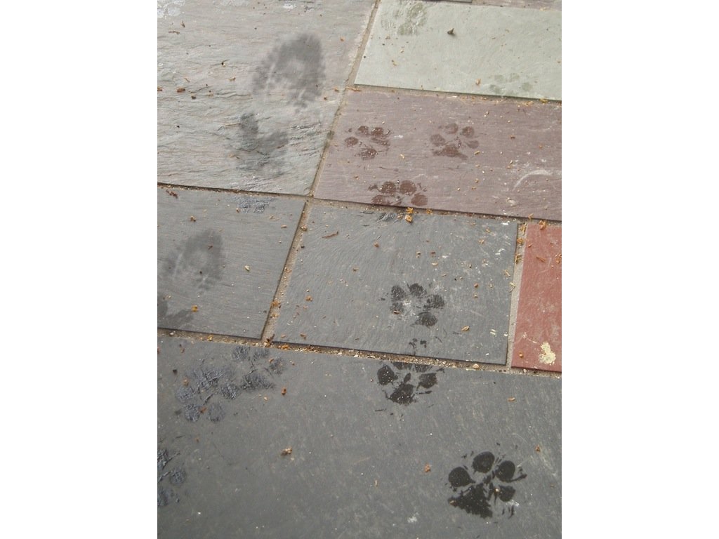 footsteps