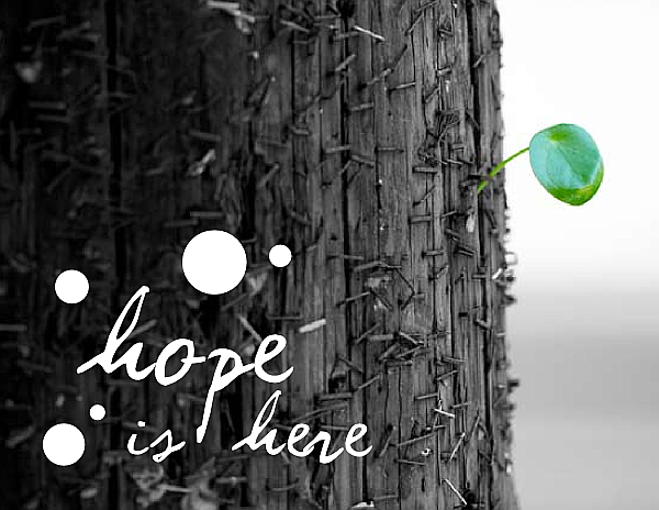 Newlife Church Toronto: Leaf flyer Newlife Church Toronto: Leaf flyer.